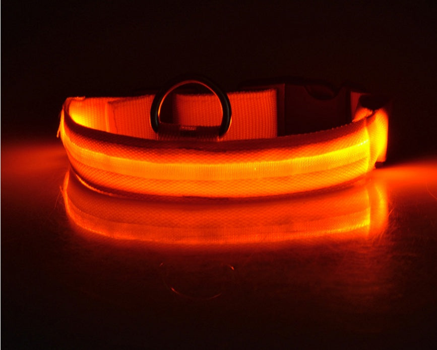 Nylon LED Pet Luminous Collar Night Safety