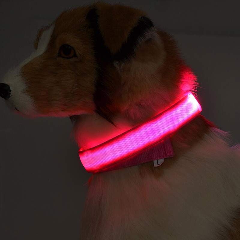 Nylon LED Pet Luminous Collar Night Safety